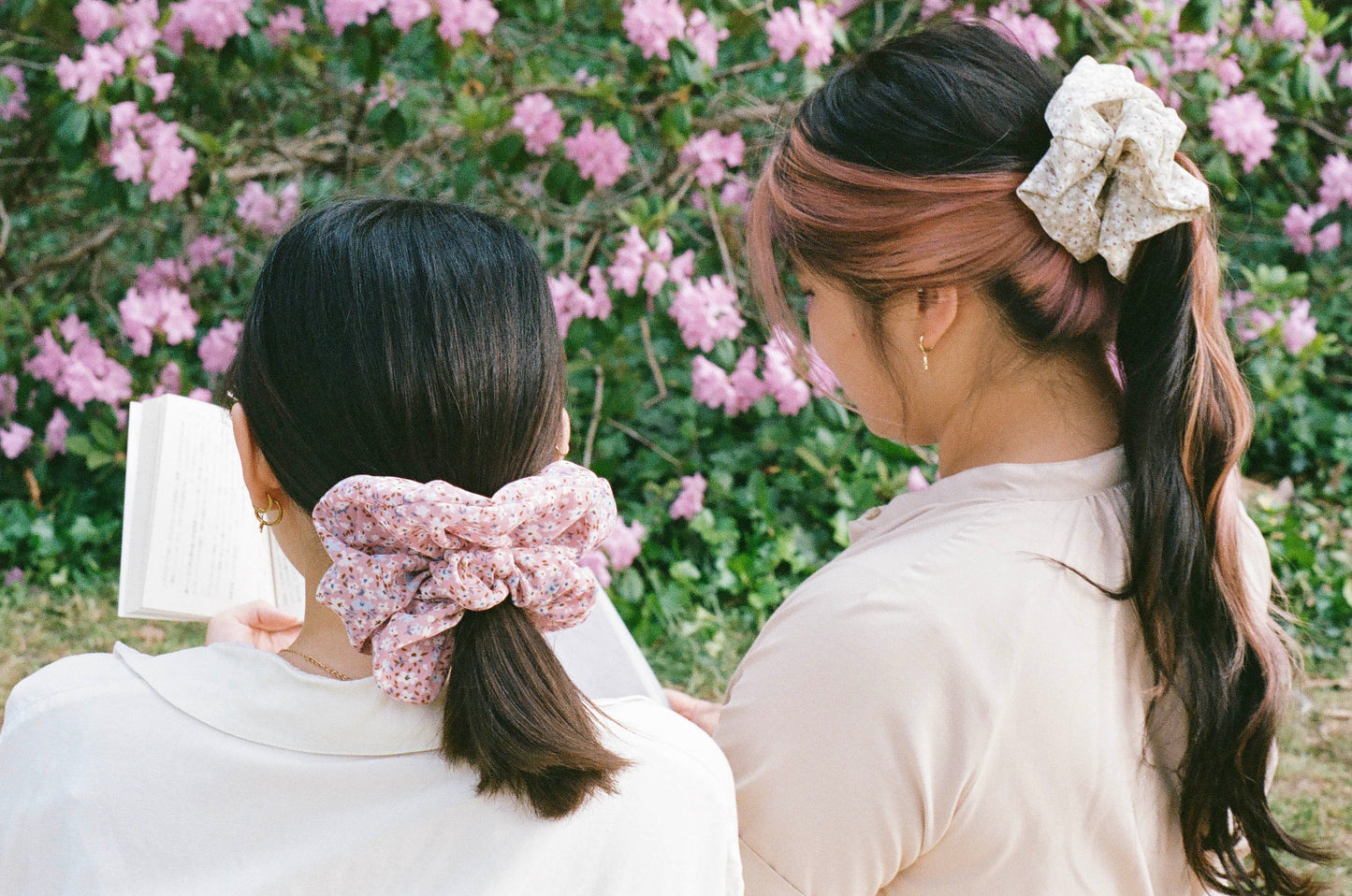Blossom