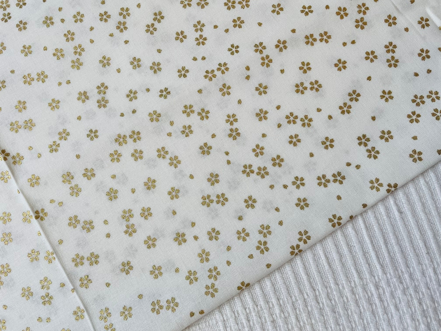 Kozakura (White)