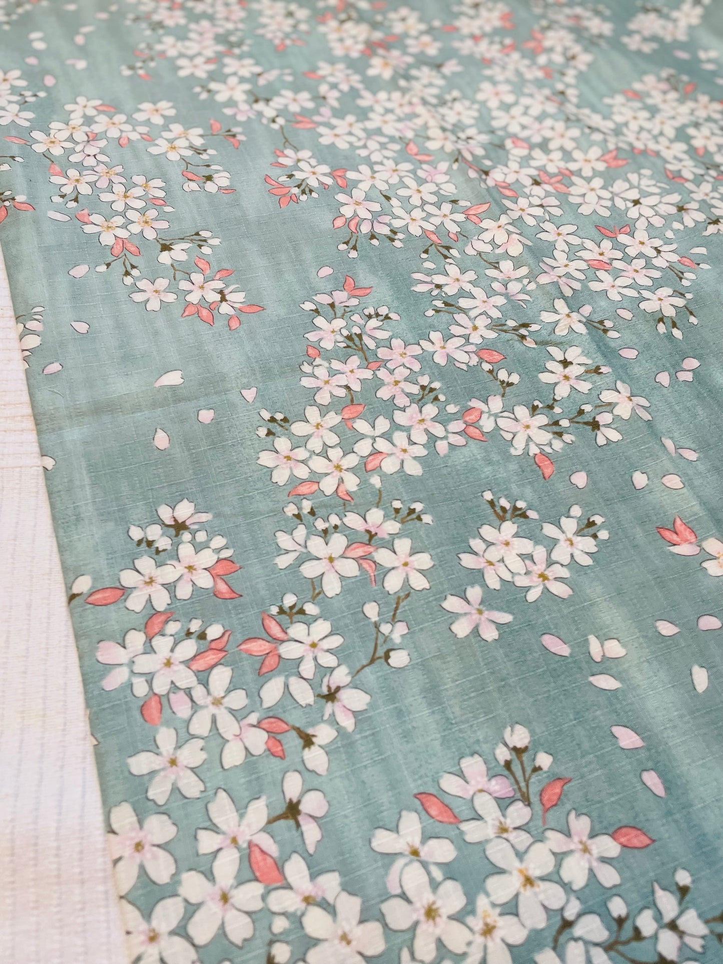 Fujizakura (Light blue)